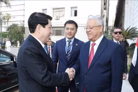 El presidente de Vietnam, Luong Cuong (izquierda), se reúne con el titular de la Cámara de Representantes de Egipto, Hanafy El Gebaly. (Foto: VNA)