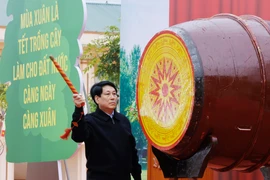 El presidente de Vietnam, Luong Cuong, toca el tambor para dar inicio al festival (Foto: VNA)