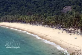 Isla Cu Lao Cham, en la ciudad de Da Nang (Foto: VNA)