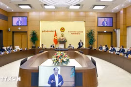 Panorama de la cita (Foto: VNA)