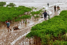 Vietnam vive en armonía con la naturaleza y el desarrollo sostenible