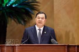 El viceprimer ministro permanente, Pham Gia Tuc, interviene en la cita (Foto: VNA)