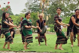Destacan cultura del pueblo M'nong en festividades del Día de la Familia en Hanoi