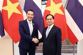 El viceprimer ministro y canciller de Vietnam, Bui Thanh Son (derecha), y el ministro de Relaciones Exteriores de Tailandia, Maris Sangiampongsa (Foto: VNA)