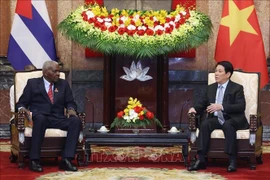 El presidente de Vietnam, Luong Cuong, conversa con el titular de la Asamblea Nacional del Poder Popular de Cuba, Esteban Lazo Hernández. (Foto: VNA)