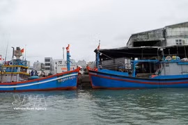Los barcos pesqueros atracan en el puerto de Quy Nhon, en la provincia de Gia Lai. (Foto: VNA)