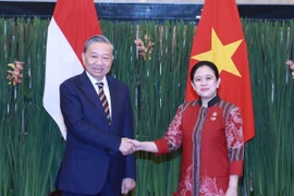 El secretario general del Partido Comunista de Vietnam, To Lam, se reúne con la presidenta del Consejo Representativo del Pueblo de Indonesia, Puan Maharani (Foto: VNA)