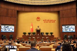 Panorama de la sesión (Foto: VNA)