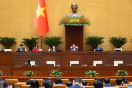 En la sesión (Foto: quochoi.vn)
