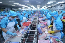 Procesamiento de pescado para la exportación (Foto: VNA)