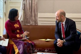 La vicepresidenta de la Asamblea Nacional de Vietnam, Nguyen Thi Thanh, se reúne con el subtitular del Senado francés, Loic Hervé (Foto: VNA)