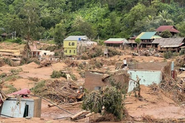Cientos de casas en la comuna de My Ly (Nghe An) resultaron dañadas tras las inundaciones de julio de 2025. (Foto: VNA)