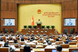 Panorama de la cita (Foto: VNA)