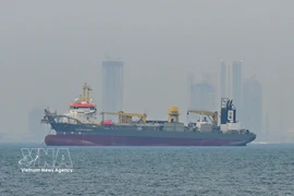 Un buque mercante permanece anclado frente a la costa de Dubái (Emiratos Árabes Unidos), mientras el tráfico marítimo se ve interrumpido en el estrecho de Ormuz el 2 de marzo de 2026. (Foto: AA/VNA)