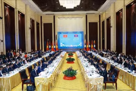 En la 48.ª Reunión del Comité Intergubernamental Vietnam-Laos (Foto: VNA)