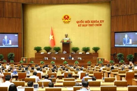 Panorama de la sesión (Foto: VNA)