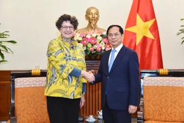 El viceprimer ministro y titular de Relaciones Exteriores, Bui Thanh Son, recibe a la embajadora de Alemania en Vietnam, Helga Margarete (Foto: VNA)