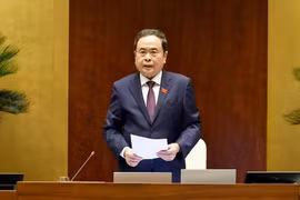El presidente de la AN, Tran Thanh Man, interviene en la cita (Foto: VNA)