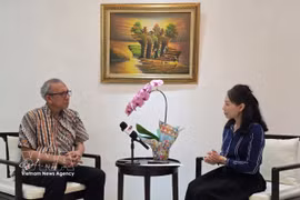Beni Sukadis, coordinador sénior del Instituto Indonesio de Estudios de Defensa y Estrategia (Lesperssi), en la entrevista. (Foto: VNA)