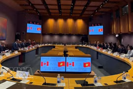 Panorama de la cita (Foto: VNA)