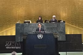El embajador Do Hung Viet, jefe de la misión permanente de Vietnam ante la ONU, interviene en la sesión. (Foto: VNA)