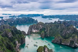 El periódico presenta a Vietnam como uno de los países más dignos de explorar en Asia, destacando sus majestuosos paisajes naturales, su patrimonio cultural de larga data y una gastronomía atractiva. (Fuente: Le Parisien)