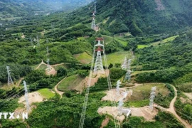 Sección vietnamita del proyecto de línea de transmisión 500 kV Monsoon-Thanh My (Foto: VNA)