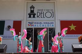 Presentación artística en el evento (Foto: VNA)