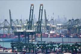 Puerto Pasir Panjang en Singapur (Foto: AFP/VNA)