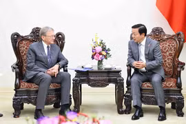 El viceprimer ministro vietnamita Tran Hong Ha (derecha) conversa con Boris Yuryevich Titov, enviado especial del presidente ruso para las relaciones con las organizaciones internacionales para el logro de los ODS. (Foto: VNA)