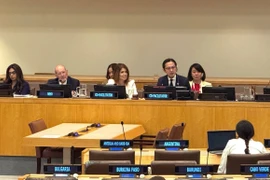 Esta resolución fue coordinada conjuntamente por el embajador Do Hung Viet, jefe de la Misión Permanente de Vietnam ante la ONU, y la embajadora Paula Narváez, jefa de la Misión Permanente de Chile. (Foto: VNA)