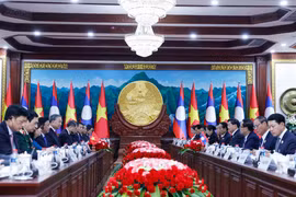 Panorama de la cita (Foto: VNA)