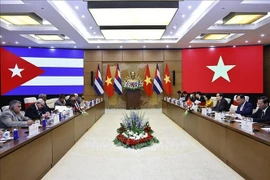 Panorama de la reunión (Foto: VNA)