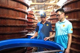 Taller de elaboración de salsa de pescado tradicional de la empresa Huynh Khoa en Phu Quoc (Foto: VNA)