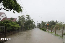 Tifón Bualoi causa graves daños en Vietnam