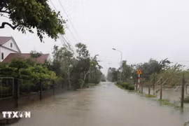 Tifón Bualoi causa graves daños en Vietnam