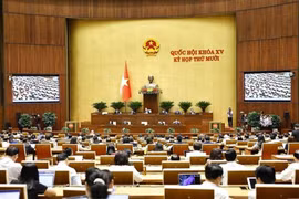 Panorama de la sesión (Foto: VNA)