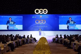 El primer ministro de Vietnam, Pham Minh Chinh, interviene en la cita (Foto: VNA)