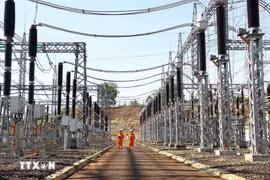 Buró Político emite resolución sobre garantía de seguridad energética nacional