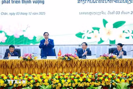 Vietnam y Laos refuerzan cooperación en materia de inversión