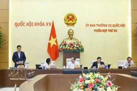 El vicepresidente de la Asamblea Nacional Vu Hong Thanh interviene en la cita (Foto: VNA)