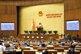 Panorama de la sesión (Foto: VNA)