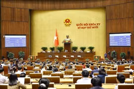 Panorama de la sesión (Foto: VNA)