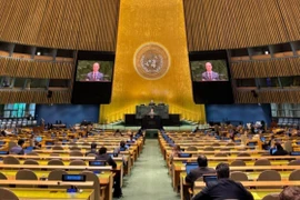 Panorama de la cita (Foto: VNA)