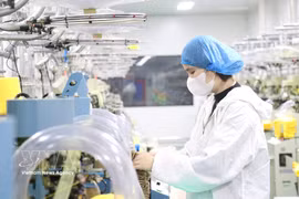Las empresas de inversión extranjera directa adoptan gradualmente modelos de producción modernos para mejorar la productividad y la calidad de los productos, incrementando su competitividad en el mercado internacional. (Foto: VNA)