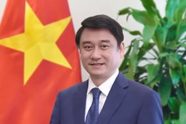 El vicecanciller vietnamita Le Anh Tuan (Foto: Ministerio de Relaciones Exteriores)