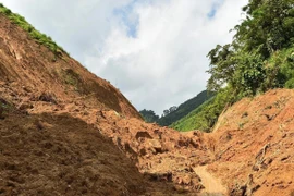 Deslizamiento de tierra en la aldea Ngoa, comuna de Yen Phu, provincia de Tuyen Quang (Foto: VNA)