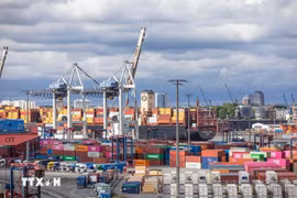 Puerto de carga en Hamburgo, Alemania (Foto: THX/TTXVN)