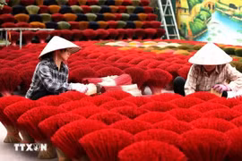 La aldea de Quang Phu Cau se dedica al oficio tradicional de elaboración de inciensos. (Foto: VNA)