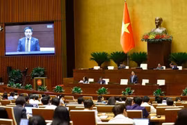 Panorama de la sesión (Foto: VNA)